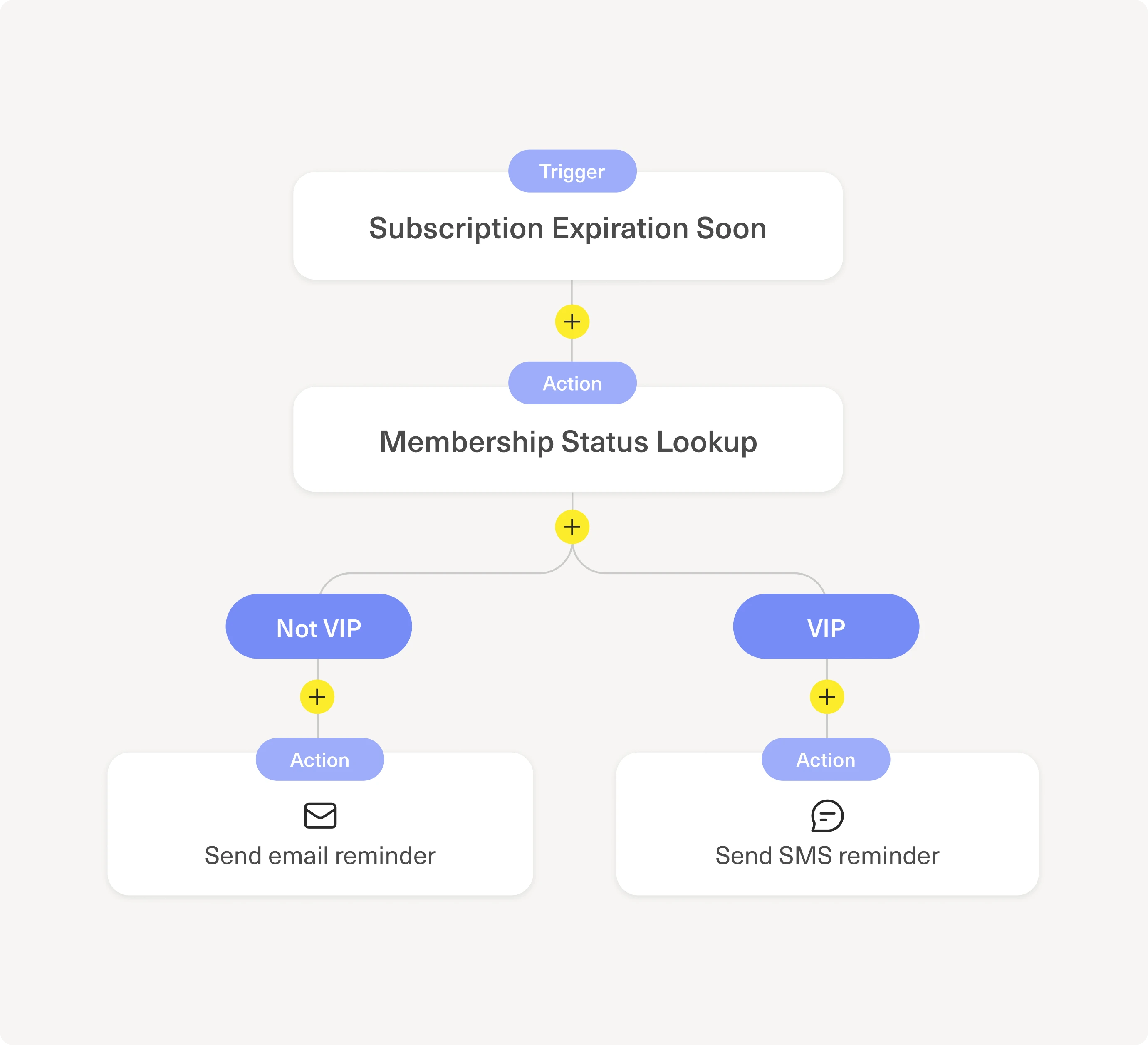 A workflow builder showing a subscription expiration trigger routing VIP and non-VIP customers to SMS or email reminders.