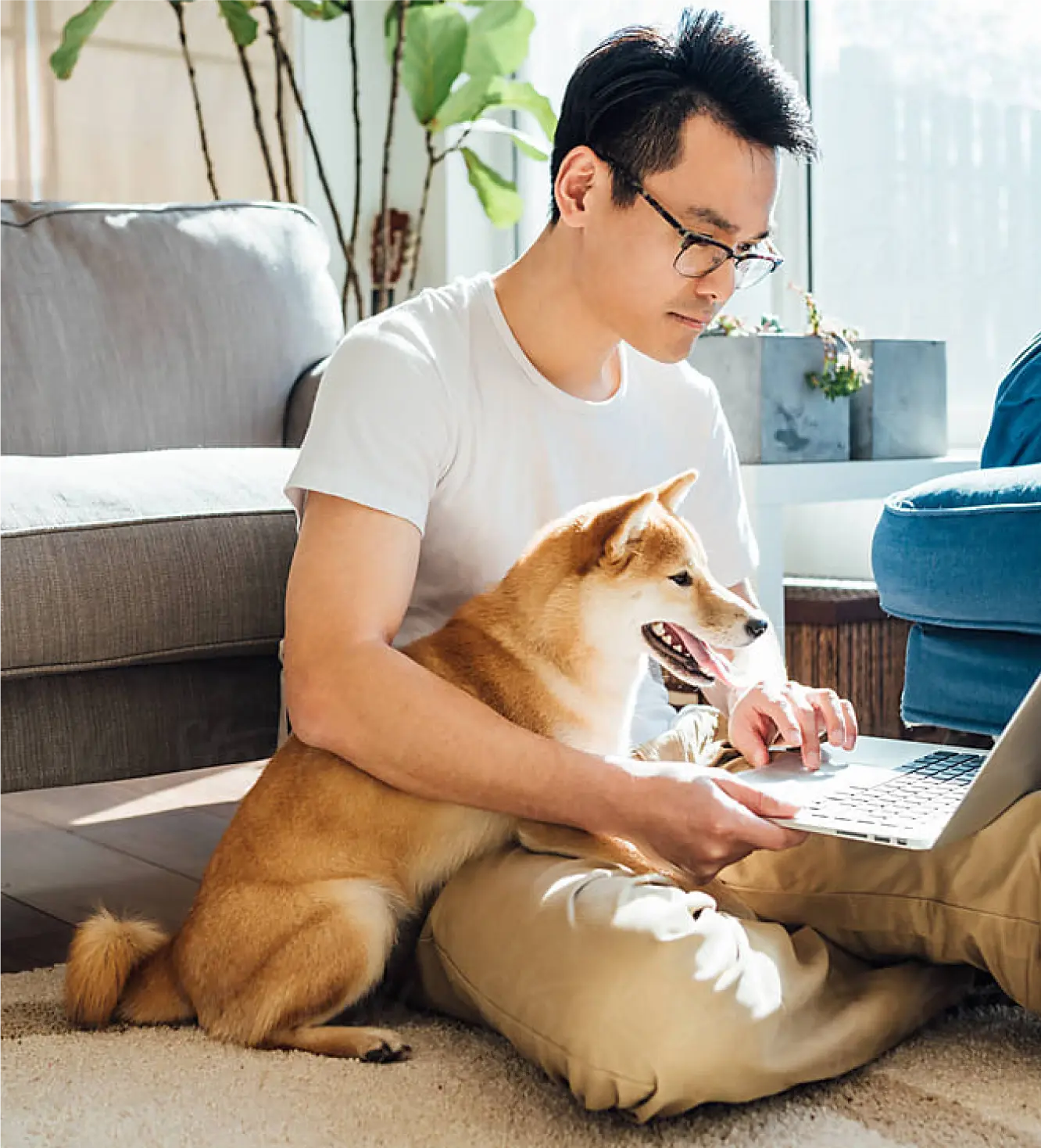 A man wearing glasses sits on the floor using a laptop, with a Shiba Inu dog beside him. Sunlight enters the room, and there are plants, a sofa, and a blue chair in the background.