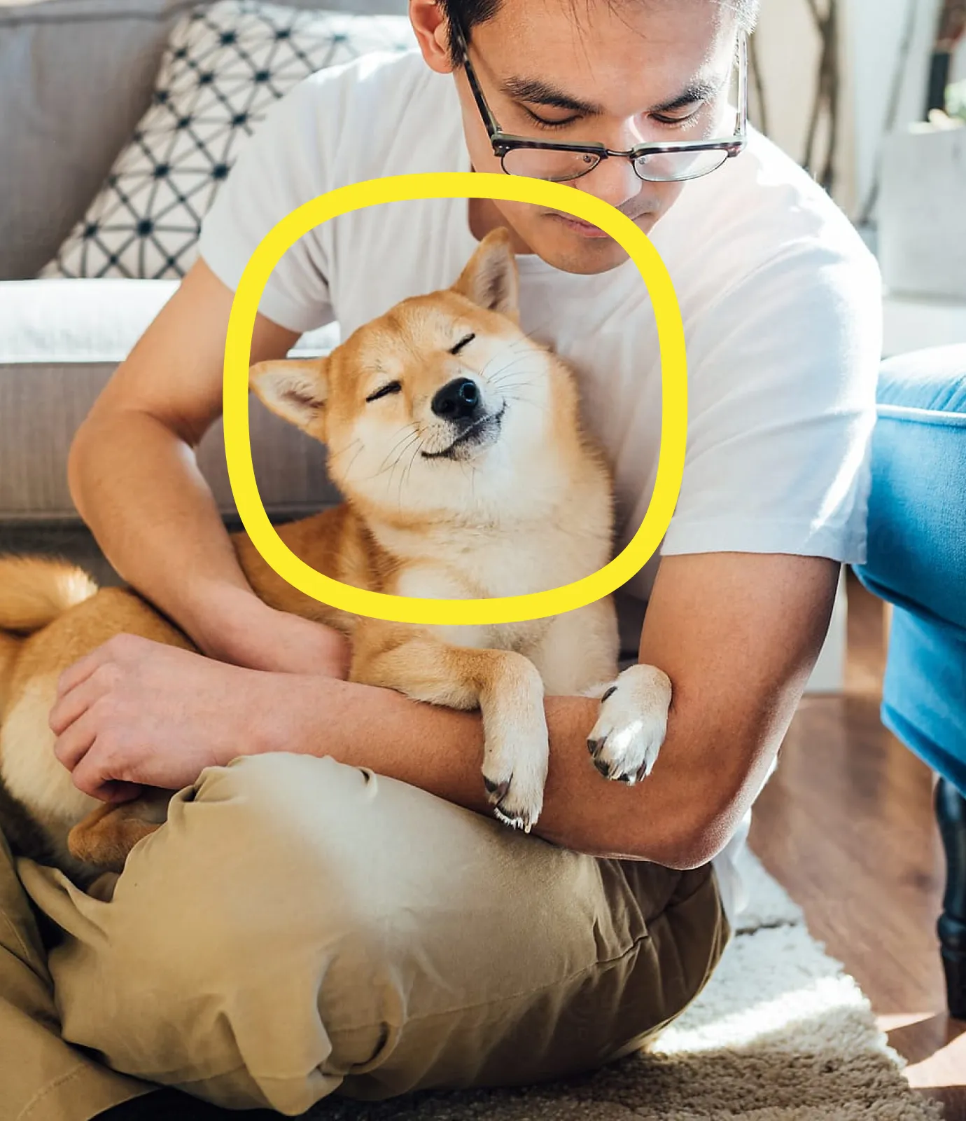 A person in glasses hugs a Shiba Inu dog that looks happy and relaxed, eyes nearly closed, while sitting on the floor at home. A yellow circle highlights the dog's face.